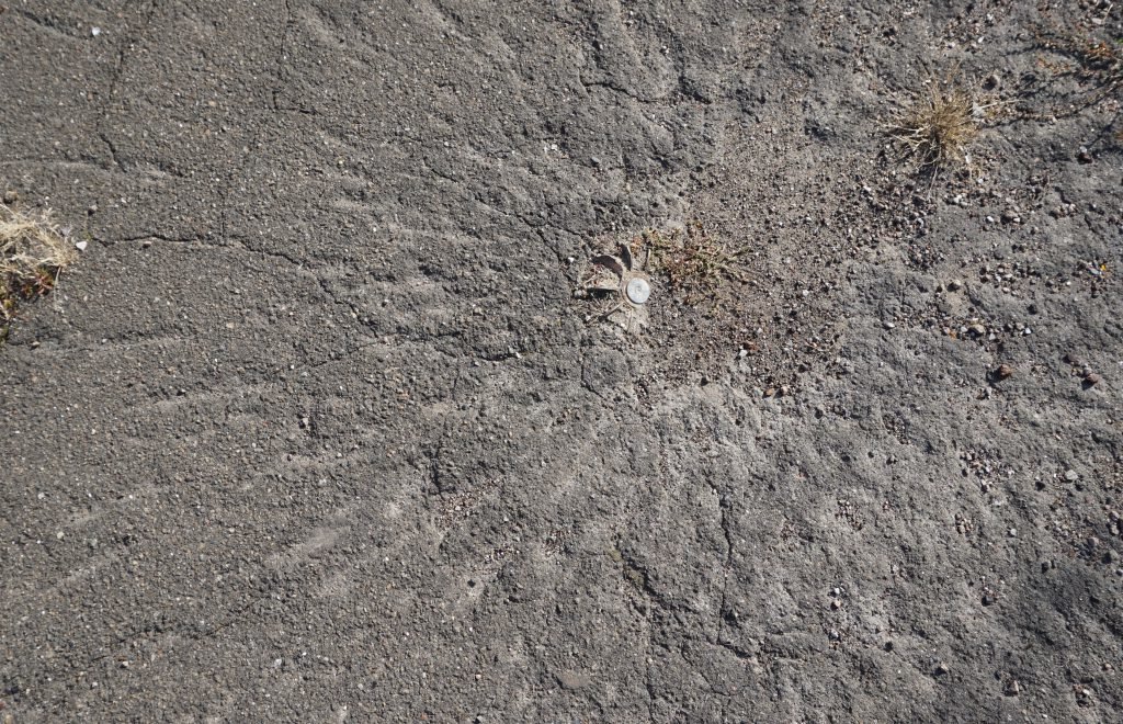 Shyrokyne Ukraine unexploded mortar