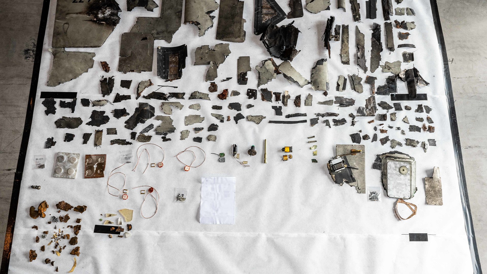  forensic investigators 