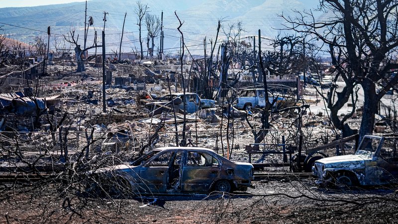 hawaii wild fires