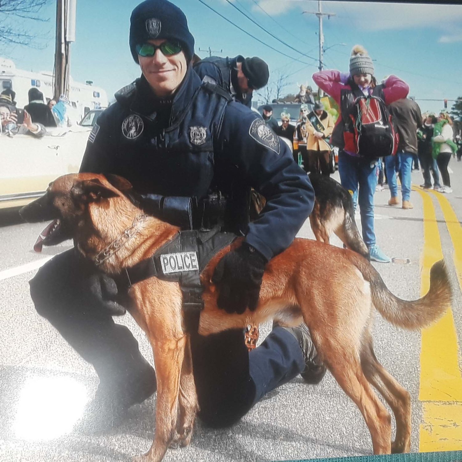 Massachusetts police dog
