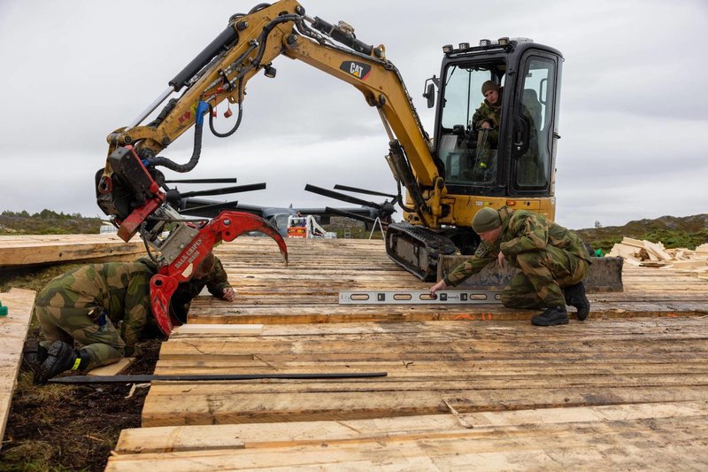 Norway Rescues Osprey