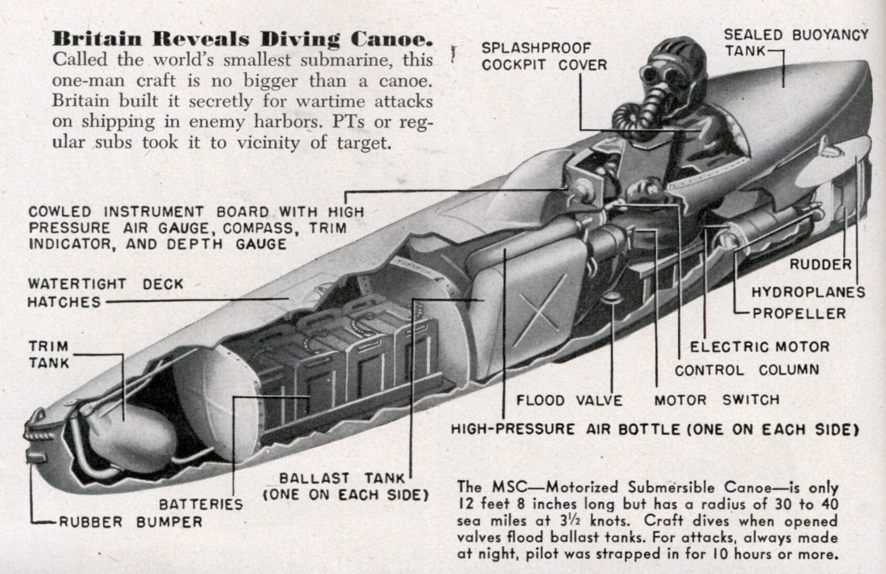 Motorised Submersible Canoe Sleeping Beauty coffee or die 