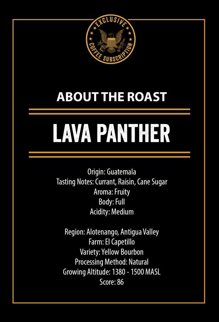 specialty coffee bag lava panther ECS roast recipe card
