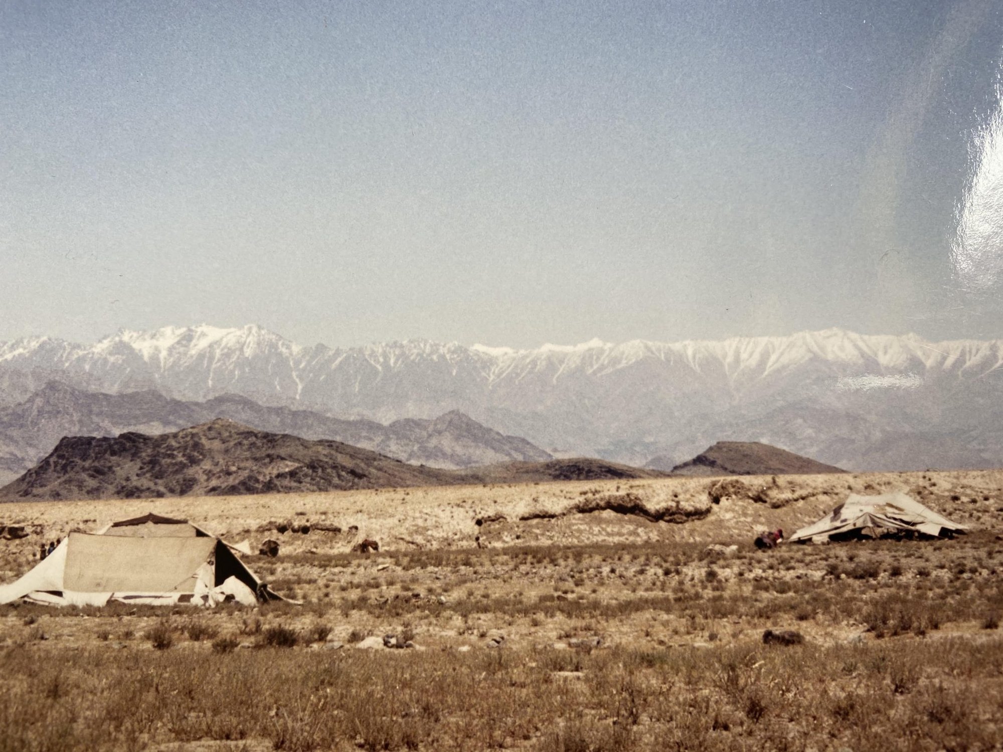 brandon young, combat, ranger, afghanistan