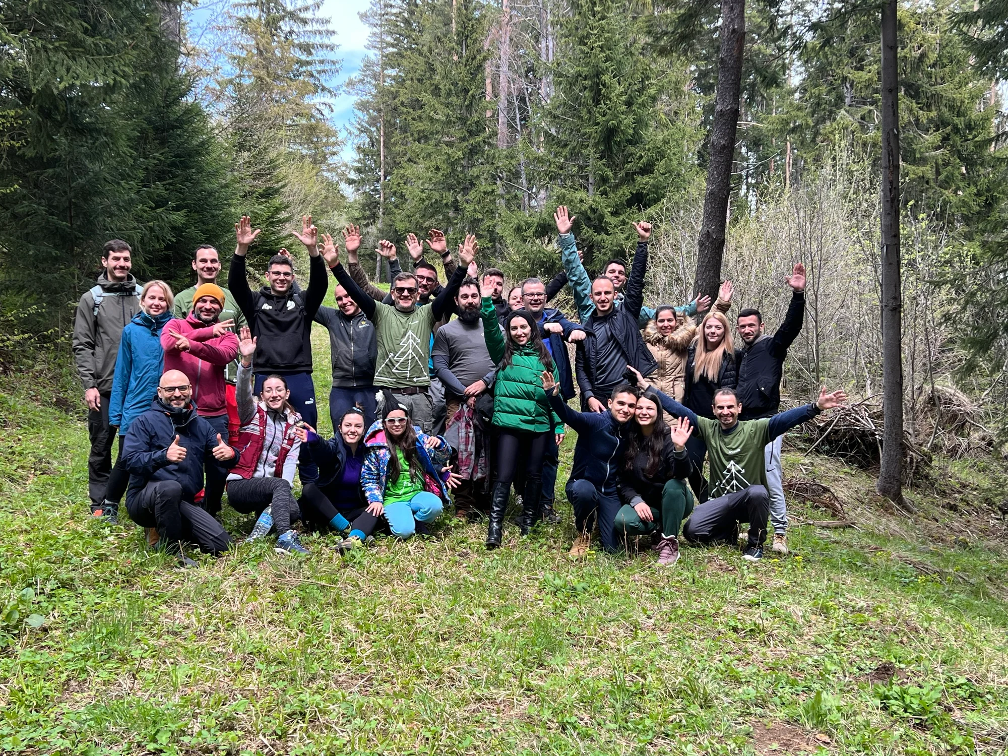 accedia forest team