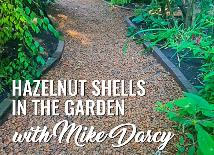 Hazelnut Shells in the Garden with Mike Darcy