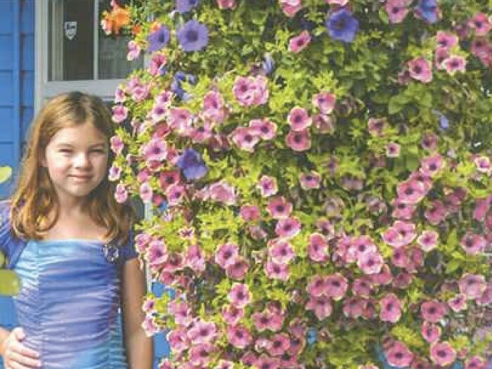 Hanging Basket Just Keeps on Growing