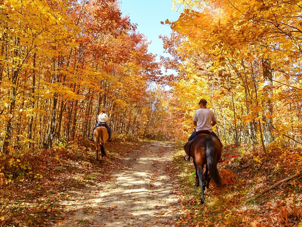 6 Stunning Trail Rides To Check Off Your Autumn Bucket List