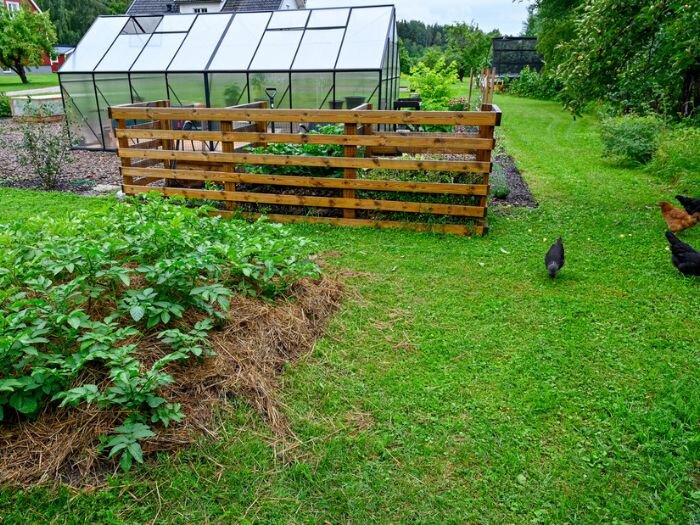 Homestead Layout Ideas for 2, 5, and 10 Acres