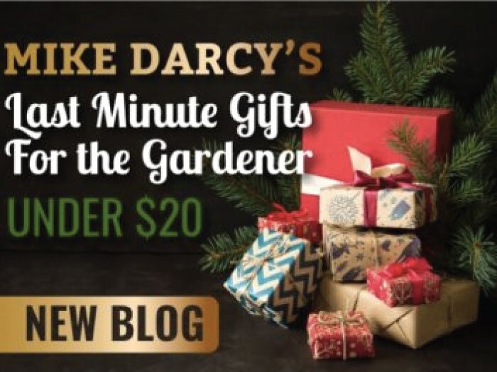 Mike Darcy's Last Minute Gifts For Gardeners