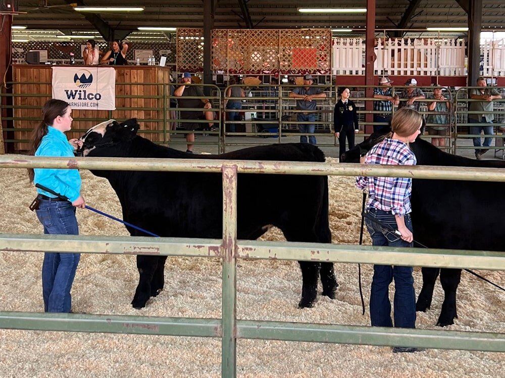 Wilco Support of Local Youth Sets Record Highs