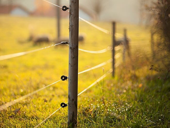 Everything You Need to Know About Fence Posts