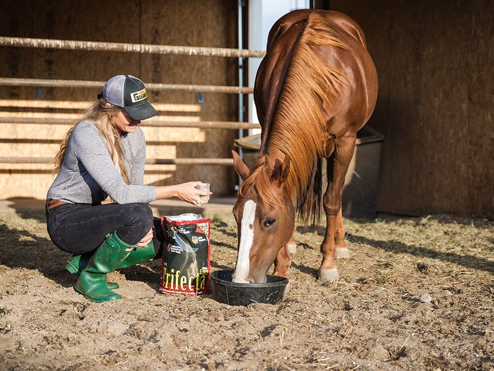 Feeding For Hoof Health