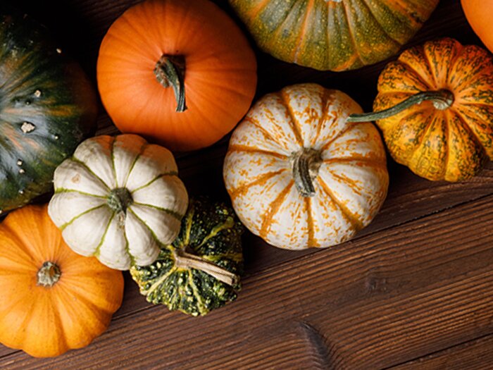 Gourd-geous Hues with Benjamin Moore