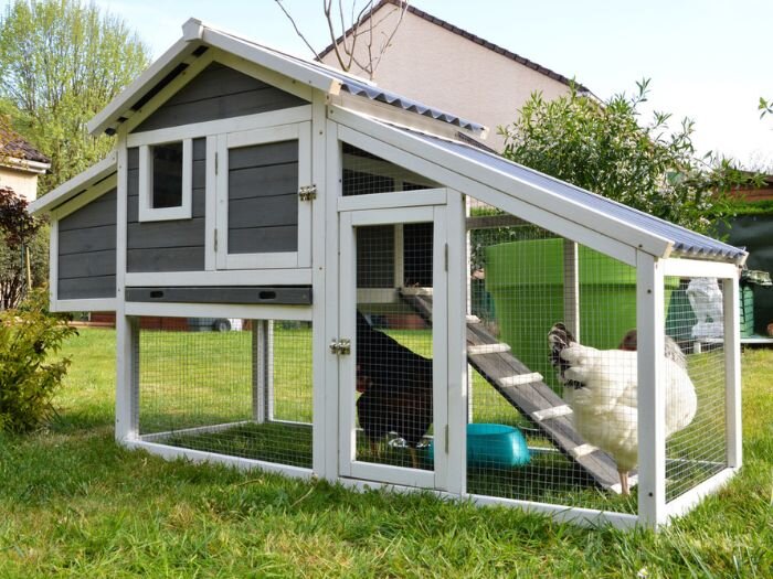 Chicken Coops, Runs, & Supplies