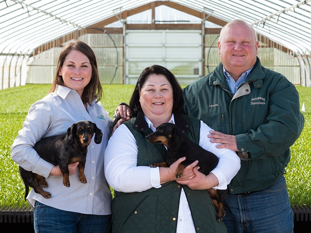 Co-op Member Spotlight: NW Transplants, Molalla, Oregon