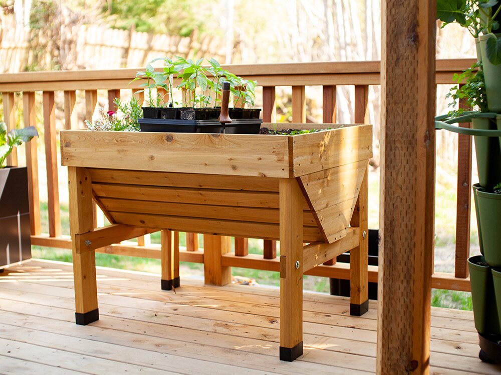 Save Money by Growing Your Own Groceries