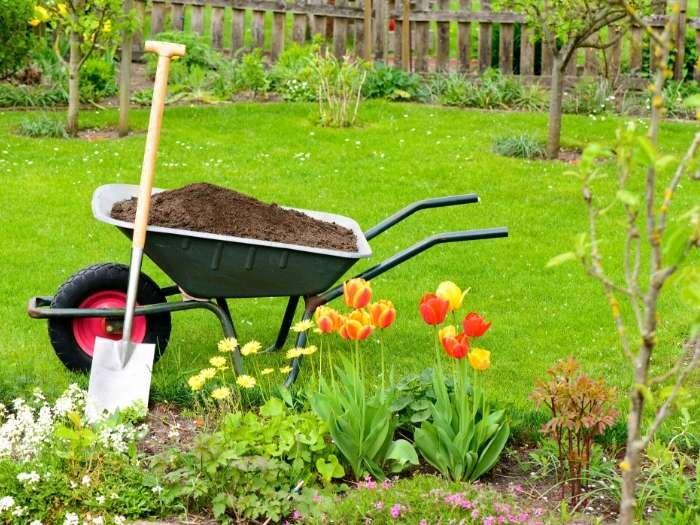 Fertilizing and Maintaining Your Lawn in Spring