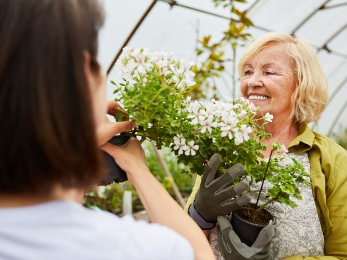 How to Make a Hanging Basket: Your Step-By-Step Guide to Creating Stunning Displays