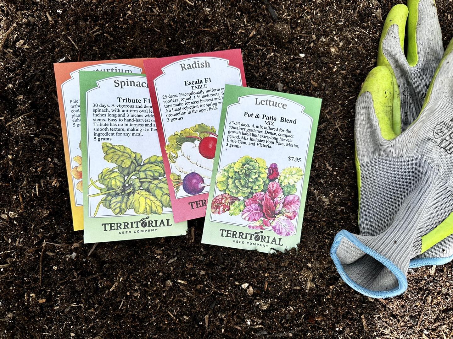 Territorial Seed Company & Wilco Farm Stores Partner to Bring You Premium Seeds for Your Garden