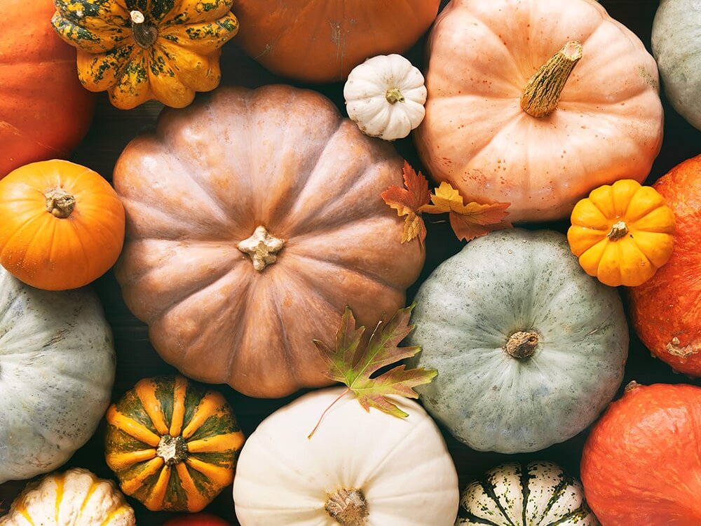 Autumn Harvest' with Benjamin Moore