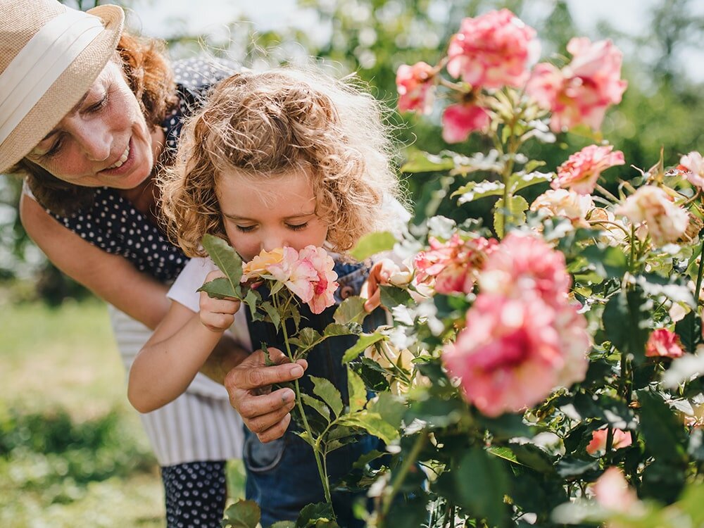 Your August Garden Checklist with Mike Darcy