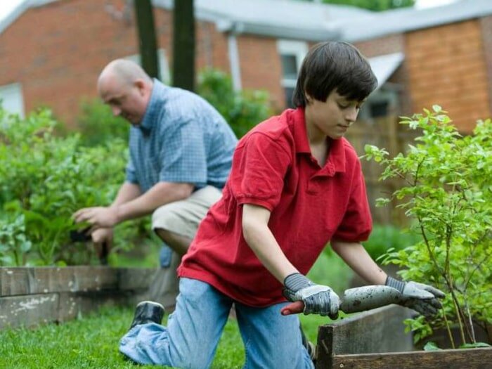 Raised Garden Beds 101: A Guide to Getting Started