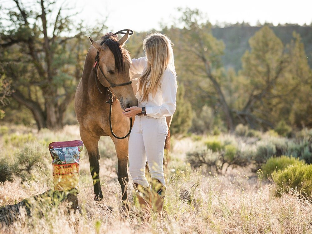 Maintaining Good Gut Health is Crucial for your Horse’s Health