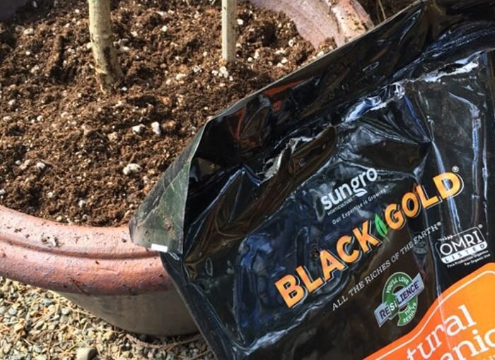 Setting Up For Spring Success with Mike Darcy