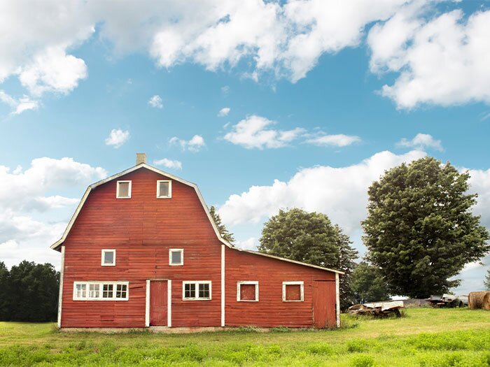 Spring and Summer Barn Supplies to Keep You Riding High