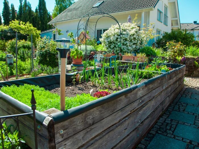 Creating Your Own Backyard Homestead