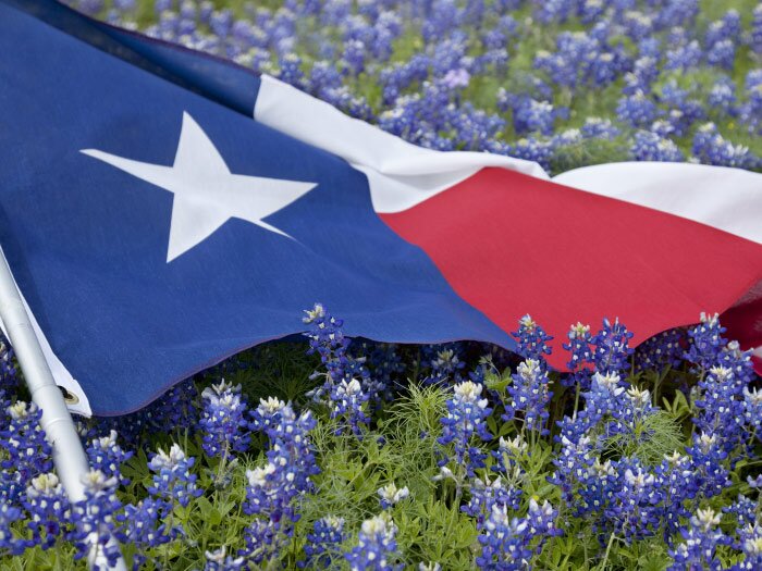 Wilco Expresses Sympathy for West, Texas