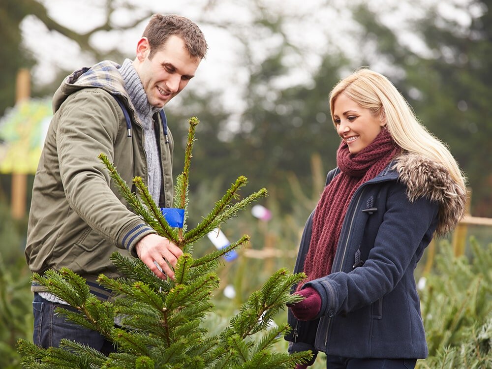 Selecting Your Christmas Tree with Mike Darcy