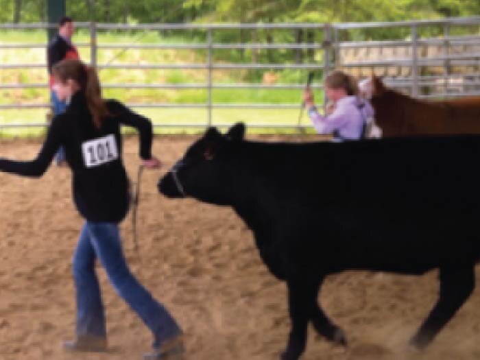 Jackpot Shows for Experience not Winning