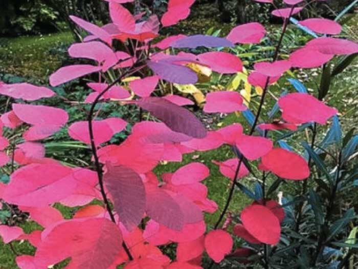 Colorful Fall with Mike Darcy