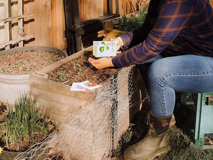 An Urban Gardener's Rainboot Review with Chicken Chaser Bri