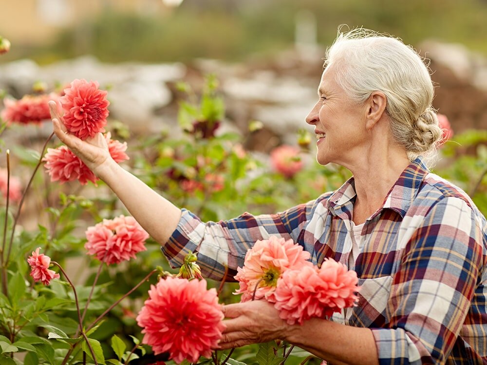 Low Maintenance Summer Flowers with Mike Darcy