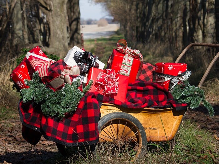 Mad About Buffalo Plaid