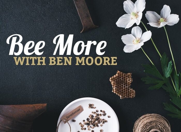Bee More with Ben Moore