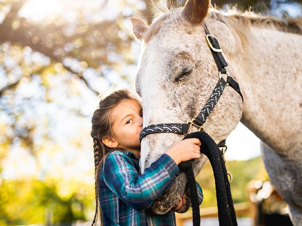 4-H: What to Expect At Your Child's First Big Show
