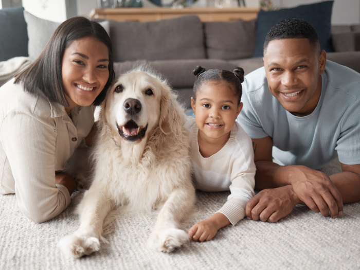 Top 10 Dog Breeds for Families