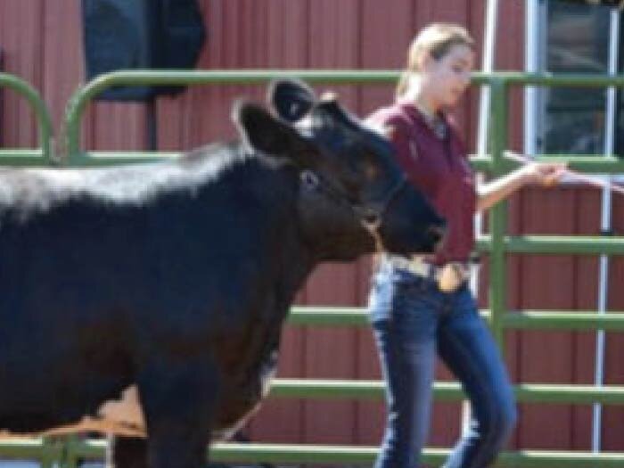 Starting All Over Again