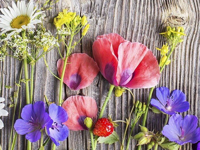 Berries & Blossoms with Benjamin Moore