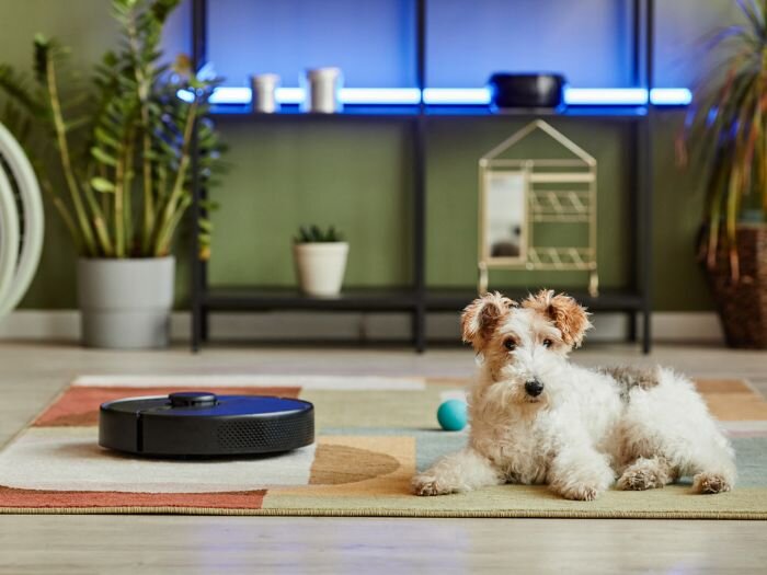 Getting Rid of Pet Stains and Odors: What Really Works?