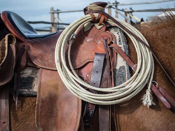 Leather Tack Care Guide: How To Keep Leather Tack Soft And Supple