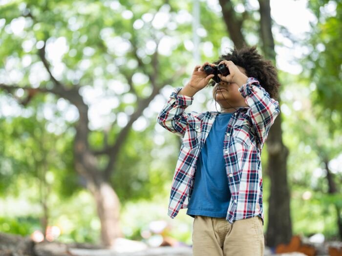 Bird-Watching Activities for Kids