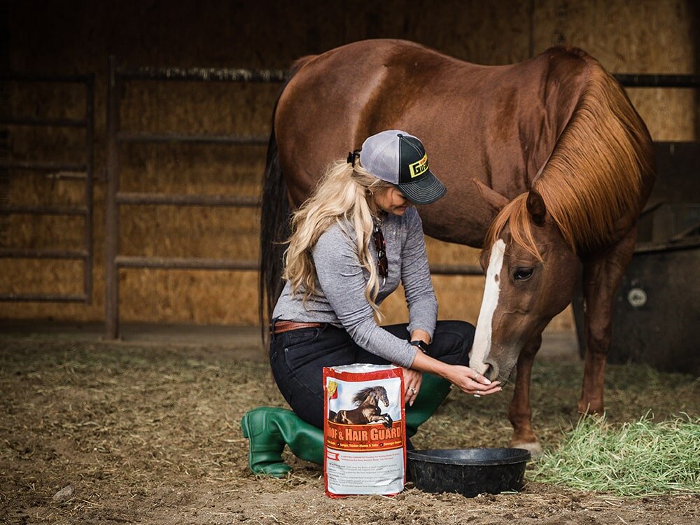 Shiny Coats as Our Horses Shed Out This Spring