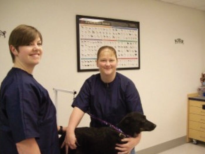 New Grooming Services in McMinnville