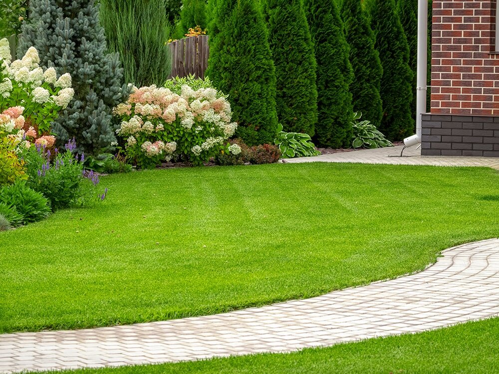 Fertilizing & Maintaining Your Lawn in the Spring with Mike Darcy