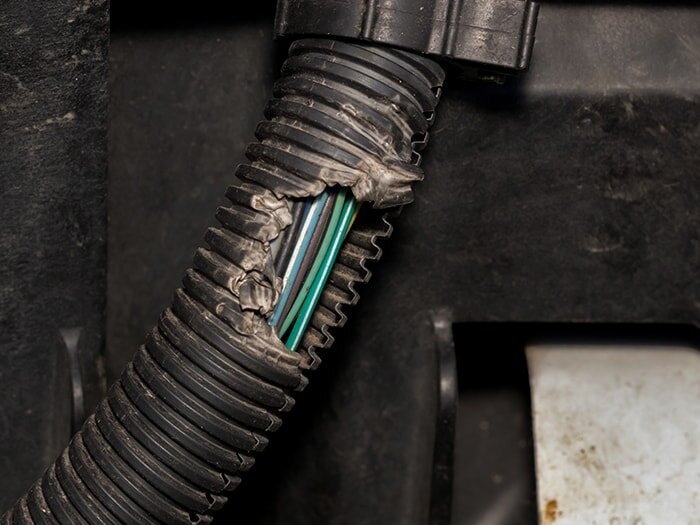 Keeping Rodents out of Engine Compartments